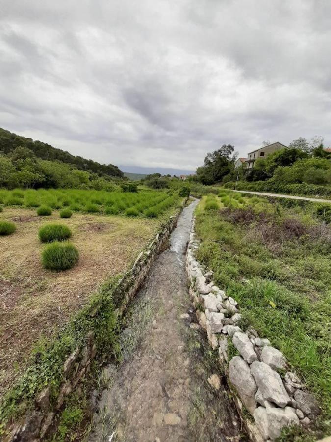 סטארי גראד Holiday Home Antonija מראה חיצוני תמונה
